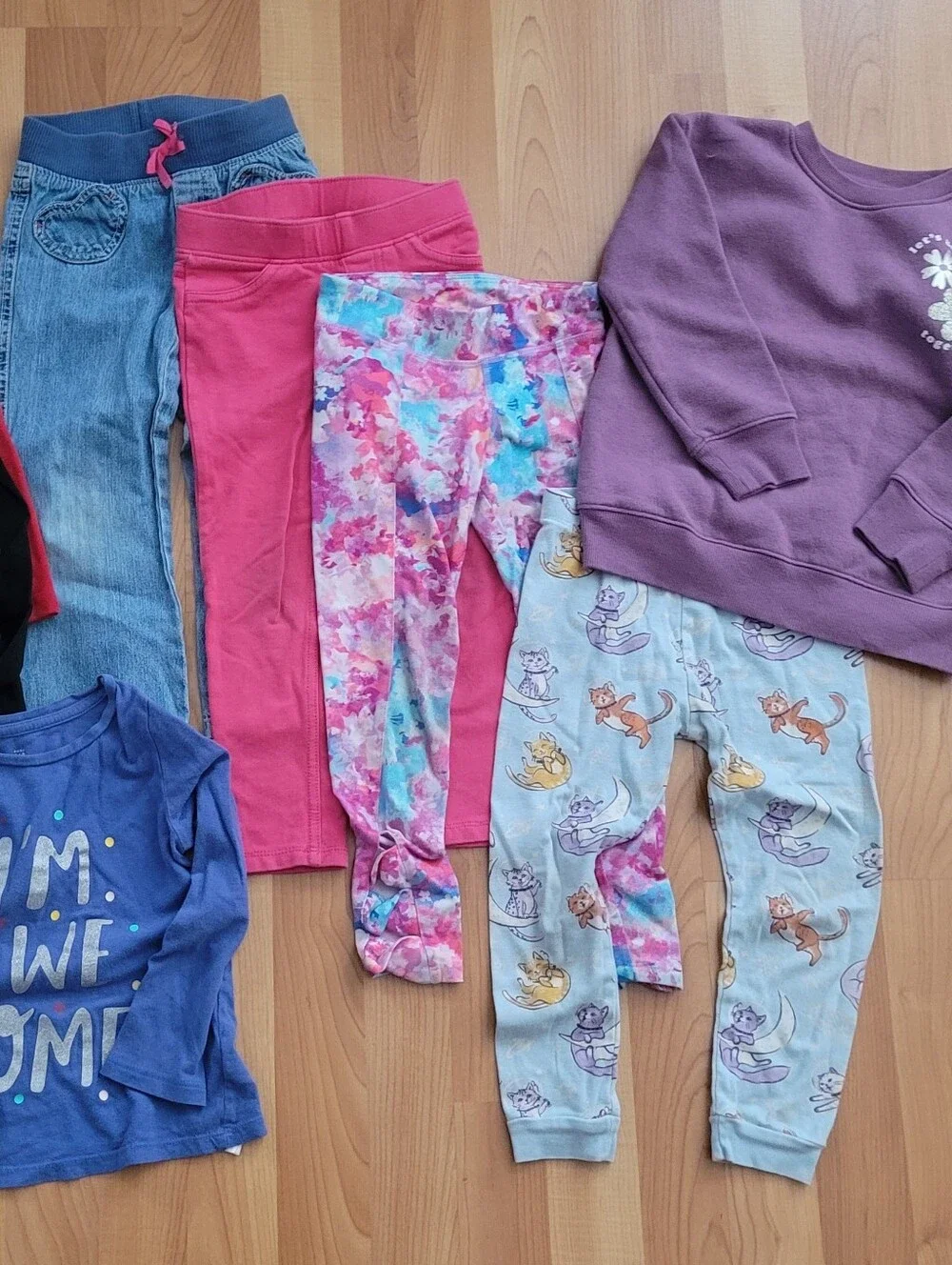 Jumping Beans Girls 4T Clothes Sweater Assorted Pants & Longsleeve Tops Lot Of 9